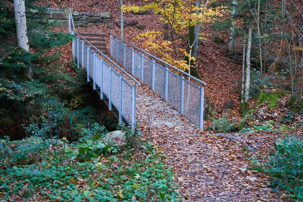 Stalowy Most Prowadzi Przez Rzekę Czarnym Lesie Przez Wiele Liści — Zdjęcie stockowe
