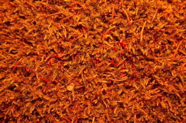 Orman zemininde altın ışıklı yosun manzarası. desen.