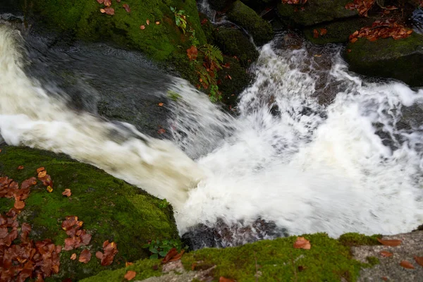 Widok Boku Kaskady Wodospadu Otoczony Zielonymi Kamieniami Jesiennymi Liśćmi — Zdjęcie stockowe