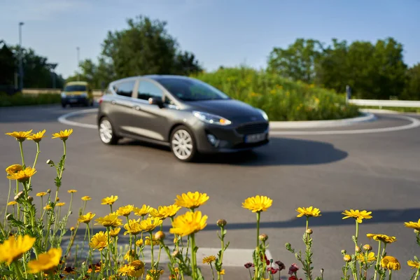 Yol kavşağının önündeki sarı kır çiçekleri. İki hareketli arabalı bir trafik çemberi. Yüzeyin derinliği. Almanya.