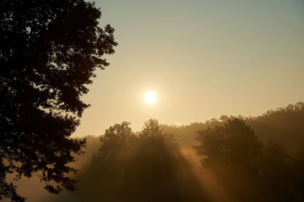 Amanecer Día Nublado Verano Luz Brilla Través Los Árboles Del —  Fotos de Stock