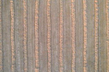 Yukarıdan saman sıralarıyla sakal tarlası. Tarımda bir düzen. Üst görünüm.