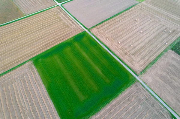 Campos Agrícolas Vistos Desde Arriba Vista Aérea Alemania — Foto de Stock
