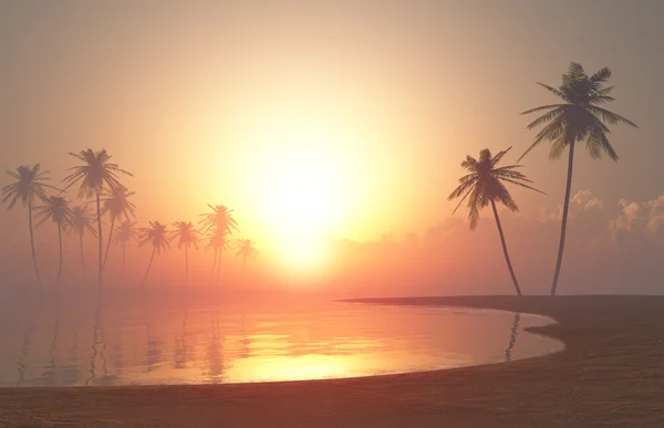 Tropical günbatımı 2