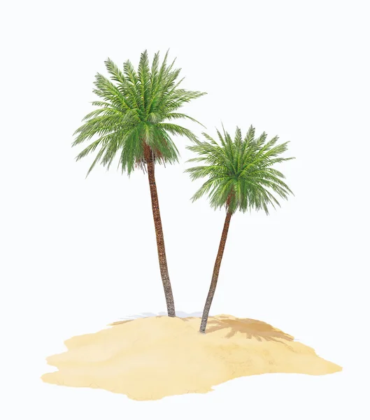 Dos palmeras en la isla Fotos De Stock Sin Royalties Gratis