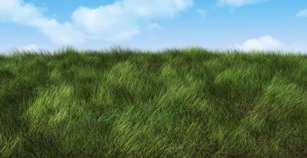 Grassy landscape — Stock Photo, Image