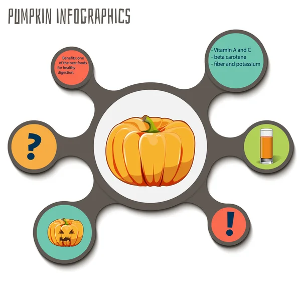 Calabaza, infografías. verduras vector ilustración — Vector de stock