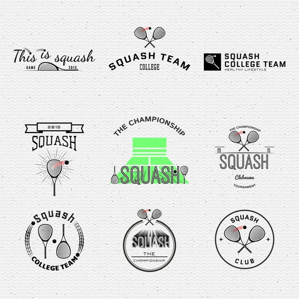 Insignias Squash logotipos y etiquetas para cualquier uso — Vector de stock