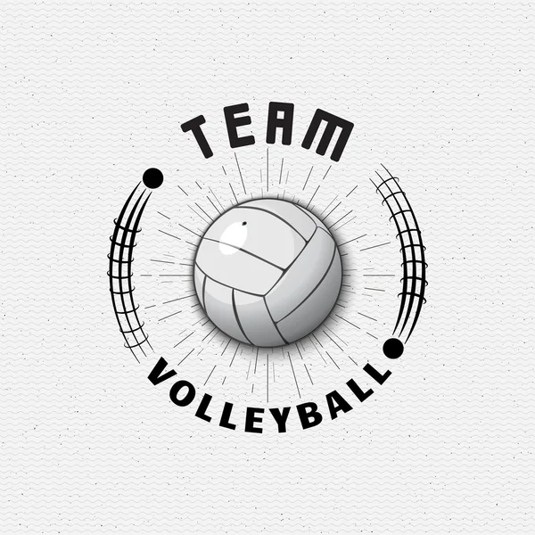 Insignes de volley-ball logos et étiquettes pour toute utilisation — Image vectorielle