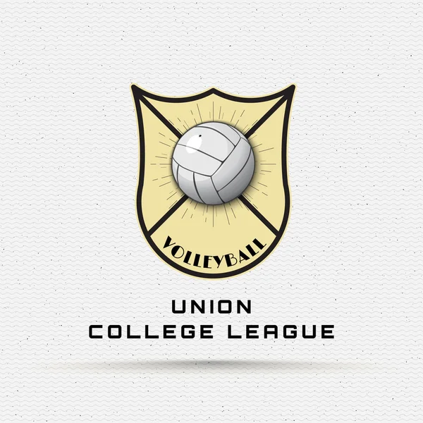 Insignes de volley-ball logos et étiquettes pour toute utilisation — Image vectorielle