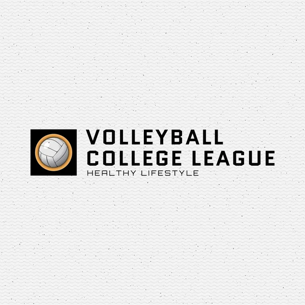 Loghi ed etichette dei badge per pallavolo per qualsiasi uso — Vettoriale Stock