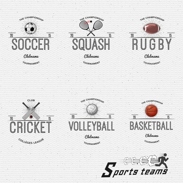 Kriket, volejbal, fotbal, basketbal, squash, rugby odznaky loga a štítků pro každé použití — Stockový vektor