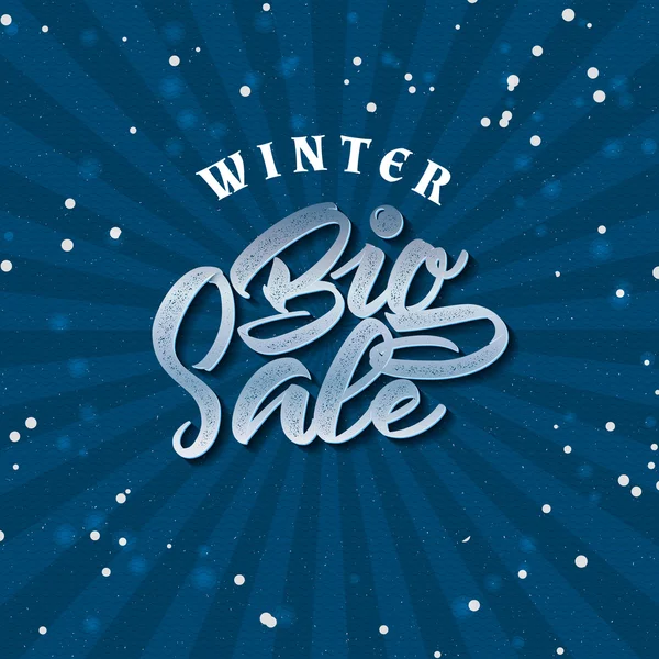 Grande venda insígnias de inverno e rótulos para qualquer uso — Vetor de Stock
