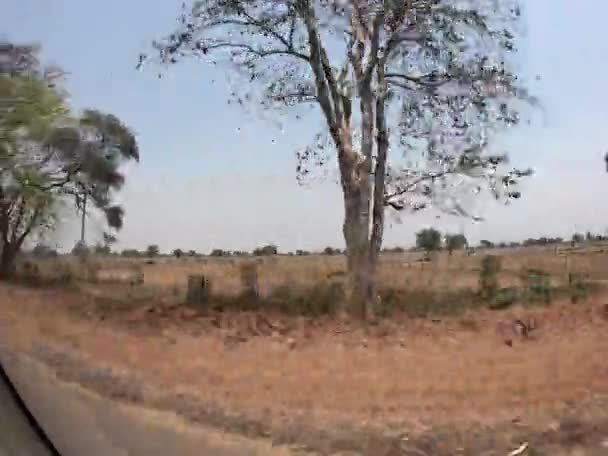Moving Vehicle Indian Countryside Passengers Point View — Stock Video