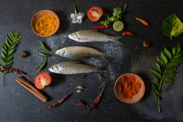 View from above of fish with vegetables and spices on a dark background with use of selective focus.