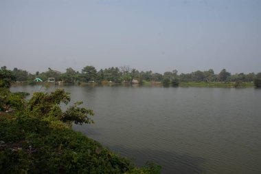 Batı Bengal Sundarban 'da karides yetiştirme firması.