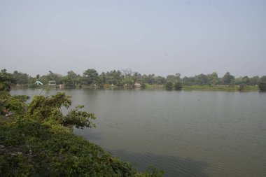 Batı Bengal Sundarban 'da karides yetiştirme firması.
