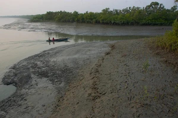 Sundarbans National Park Large Coastal Mangrove Forest Shared India Bangladesh — Stock Photo, Image