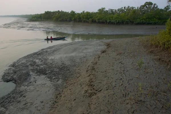 Sundarbans Nationalpark Stor Mangroveskog Som Delas Indien Och Bangladesh Royaltyfria Stockfoton