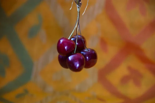 Uma Cereja Fruto Muitas Plantas Gênero Prunus Uma Drupa Carnuda — Fotografia de Stock