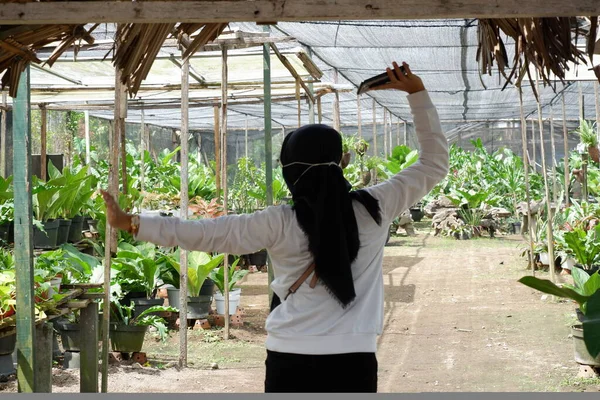 Jóvenes Mujeres Asiáticas Que Usan Hijab Caminan Felizmente Por Los — Foto de Stock