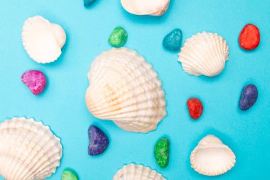 Düz uzanan yaz arkaplanı veya kompozisyon