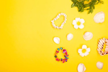 Düz uzanan yaz arkaplanı veya kompozisyon