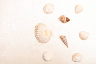 Düz uzanan yaz arkaplanı veya kompozisyon