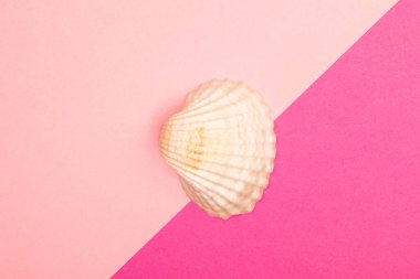 Düz uzanan yaz arkaplanı veya kompozisyon