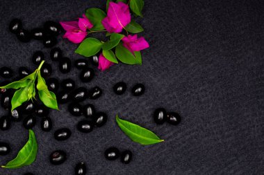Çiçekli taze siyah eriğin bileşimi