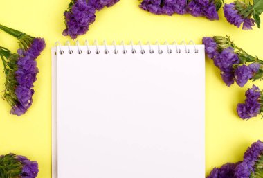 Çiçek kompozisyonu & Kağıt arkaplanda çiçek açan güzel çiçekler