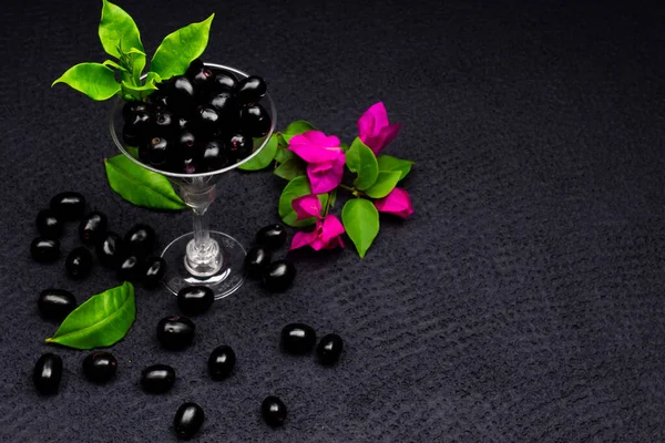 Çiçekli taze siyah eriğin bileşimi