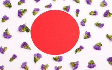 Çiçek kompozisyonu & Kağıt arkaplanda çiçek açan güzel çiçekler