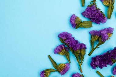 Çiçek kompozisyonu & Kağıt arkaplanda çiçek açan güzel çiçekler