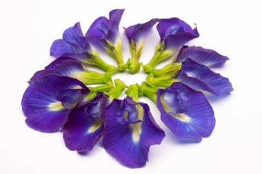 Yeşil yapraklı kelebek bezelye çiçeği bileşimi