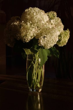 Çiçek pazarında ortancalar