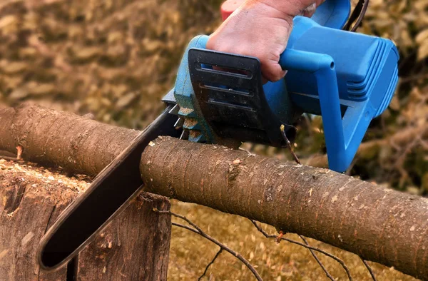 Mann Mit Kettensäge Sägt Baum — Stockfoto