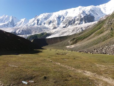 Şafak vakti Rakaposhi ve Diran tepesinin güzel manzarası