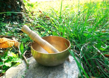 Arka planda çimenler olan bir ağaç gövdesinin dibindeki bir kayanın üzerine yerleştirilmiş şarkı kasesi.