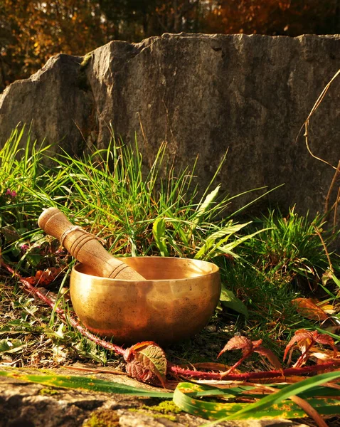 Sjungande skål placerad i naturen i mitten av en växt av örter och brambles, med en sten i bakgrunden — Stockfoto