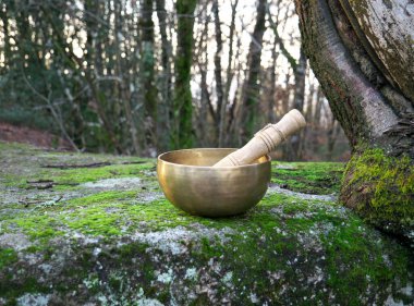 Ormanın ortasında bir kayanın üzerinde şarkı söyleyen bir kase.