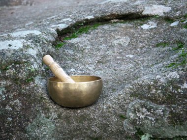 Doğadaki büyük bir kayanın üzerinde şarkı söyleyen bir kase.