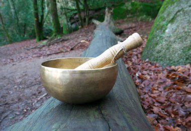 Ağaç gövdesine yerleştirilmiş şarkı kasesi.