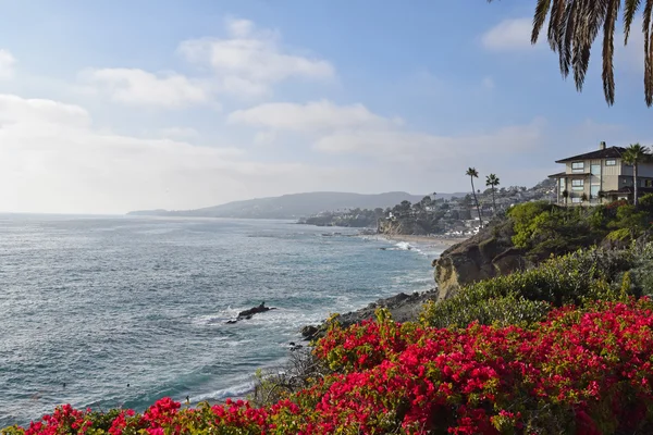 Laguna beach kıyı şeridi & bahçeleri