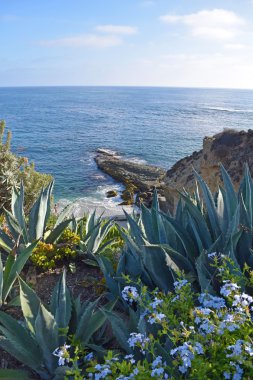 Laguna beach kıyı şeridi & bahçeleri
