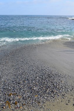 Deniz kabukları laguna Beach