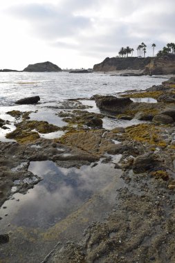 Laguna gelgit havuzları