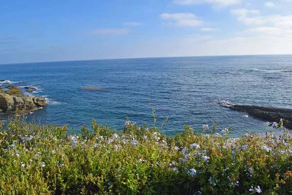 Laguna beach kıyı şeridi & bahçeleri