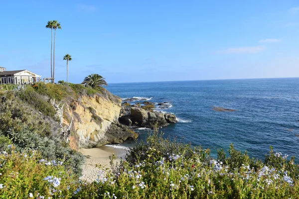 Laguna beach kıyı şeridi & bahçeleri — Stok fotoğraf