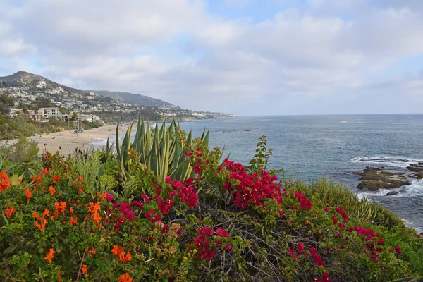 Laguna beach kıyı şeridi & bahçeleri